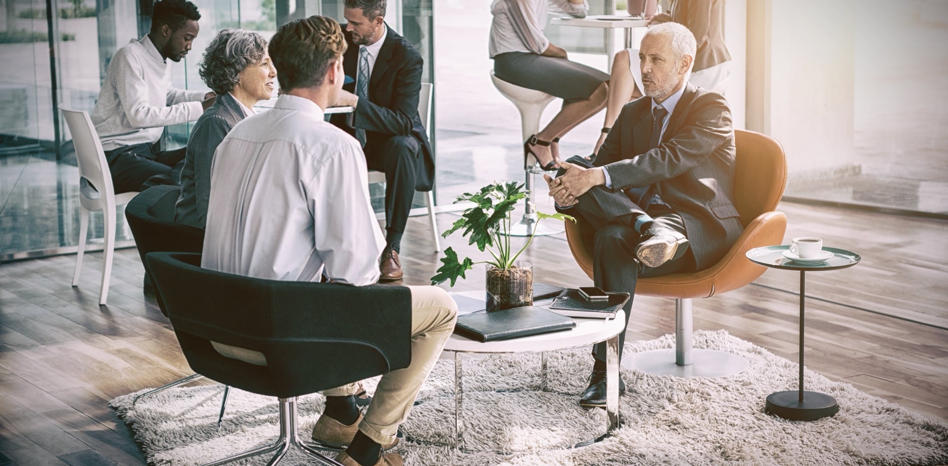 Business consultation