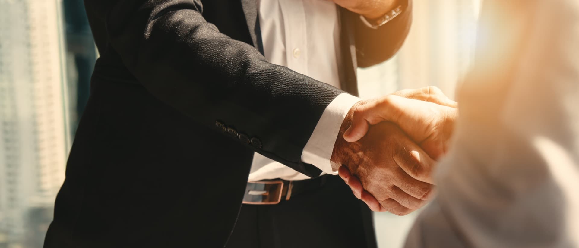Professional handshake - building partnerships